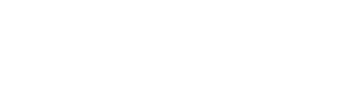 netsurge logo white